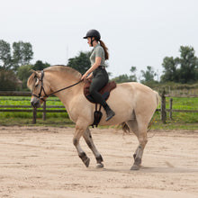 Load image into Gallery viewer, Dandy western sidepull + colors