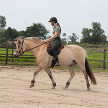 Load image into Gallery viewer, Dandy western sidepull + colors