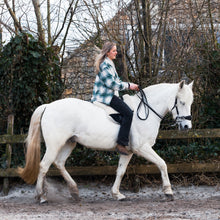 Load image into Gallery viewer, Bisco barebackpad neutral