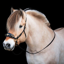 Load image into Gallery viewer, James hackamore gold