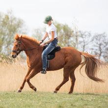 Load image into Gallery viewer, Bisco barebackpad black