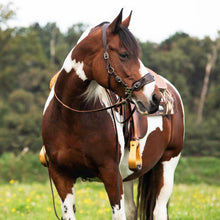 Load image into Gallery viewer, Guusje hackamore bridle