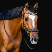 Load image into Gallery viewer, Padar hackamore gold black + brown