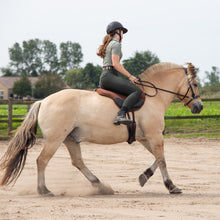 Load image into Gallery viewer, Dandy western sidepull + colors