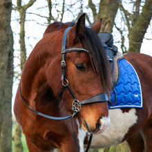 Load image into Gallery viewer, Cody hackamore black + brown