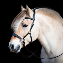 Load image into Gallery viewer, Cody hackamore black + brown