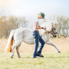 Load image into Gallery viewer, Daphne hackamore black + brown