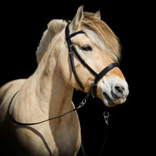 Load image into Gallery viewer, Dietsji cheekcross bridle
