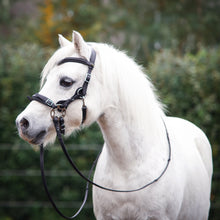 Load image into Gallery viewer, Calli hackamore bridle black + brown