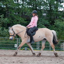 Load image into Gallery viewer, Dardo, barebackpad, bitloos, zonder zadel, bitless, bareback, barefoot, riding pad