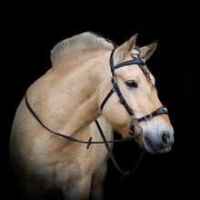 Load image into Gallery viewer, Imperial hackamore black silver + brown gold