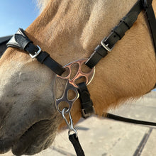 Afbeelding in Gallery-weergave laden, How to use a bitless hackamore bridle with butterfly shanks