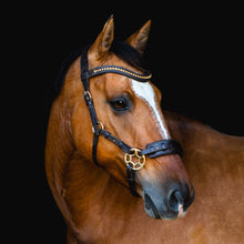 Load image into Gallery viewer, Padar hackamore gold black + brown