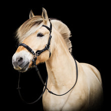 Load image into Gallery viewer, Calli hackamore bridle black + brown