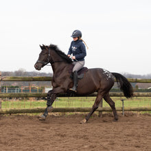 Load image into Gallery viewer, Havana western sidepull Black + Mocca