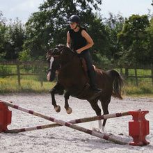 Afbeelding in Gallery-weergave laden, Rosie hackamore bruin roségoud