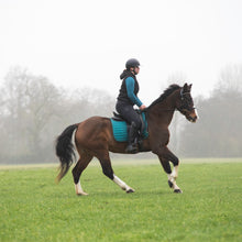 Load image into Gallery viewer, Amber sidepull gold and rosegold