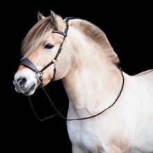 Load image into Gallery viewer, Cody hackamore black + brown