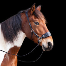 Load image into Gallery viewer, Jack western hackamore