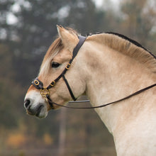 Load image into Gallery viewer, James hackamore gold