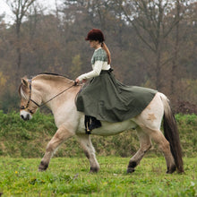 Load image into Gallery viewer, James hackamore gold