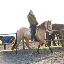 Load image into Gallery viewer, Amber sidepull gold and rosegold