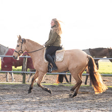 Load image into Gallery viewer, Amber sidepull gold and rosegold