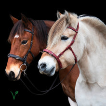 Afbeelding in Gallery-weergave laden, Kolya vegan multi-hoofdstel