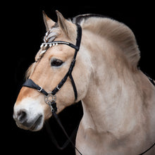 Load image into Gallery viewer, Diego hackamore black + brown