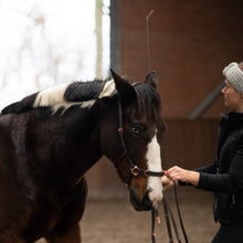 Load image into Gallery viewer, Zyara multi cavesson bridle rosegold black + brown used on a horse during groundwork.