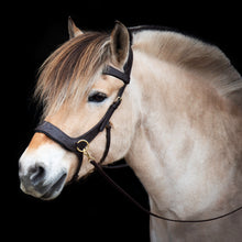 Load image into Gallery viewer, Micky sidepull black + brown gold