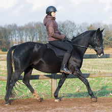 Load image into Gallery viewer, Miranti hackamore bridle