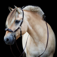 Load image into Gallery viewer, Miranti hackamore bridle