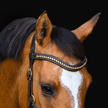 Load image into Gallery viewer, Padar hackamore gold black + brown