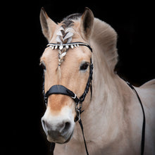 Load image into Gallery viewer, Diego hackamore black + brown