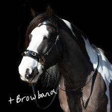 Load image into Gallery viewer, James hackamore gold