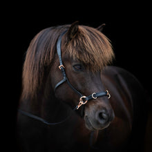 Load image into Gallery viewer, Zyara multi cavesson bridle rosegold cob size for bitless riding