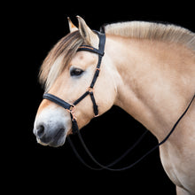 Load image into Gallery viewer, Amber sidepull gold and rosegold