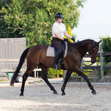 Load image into Gallery viewer, Amber sidepull gold and rosegold