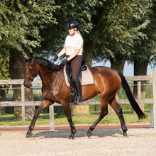 Load image into Gallery viewer, Amber sidepull gold and rosegold