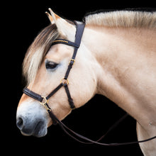 Load image into Gallery viewer, Amber sidepull gold and rosegold