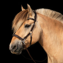 Load image into Gallery viewer, Sidepull hoofdstel zwart glitter kristal bitloos dressuur bitless anatomisch clip teugels bruin springen