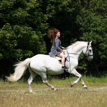 Load image into Gallery viewer, Bisco barebackpad neutral