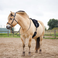 Load image into Gallery viewer, Imperial hackamore black silver + brown gold