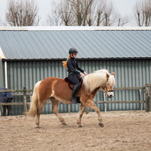 Load image into Gallery viewer, Bisco barebackpad brown