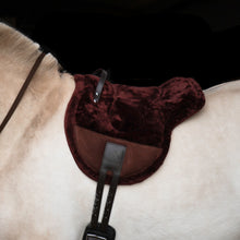 Load image into Gallery viewer, Bisco barebackpad brown