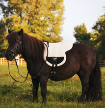 Load image into Gallery viewer, Bisco barebackpad neutral