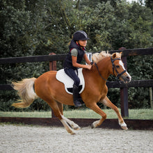 Load image into Gallery viewer, Bisco barebackpad neutral