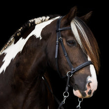 Load image into Gallery viewer, Dietsji cheekcross bridle