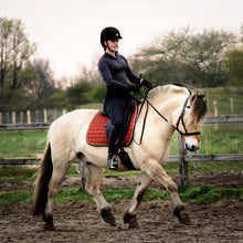 Load image into Gallery viewer, Dietsji cheekcross bridle